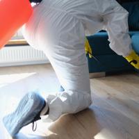 exterminator spraying pesticide