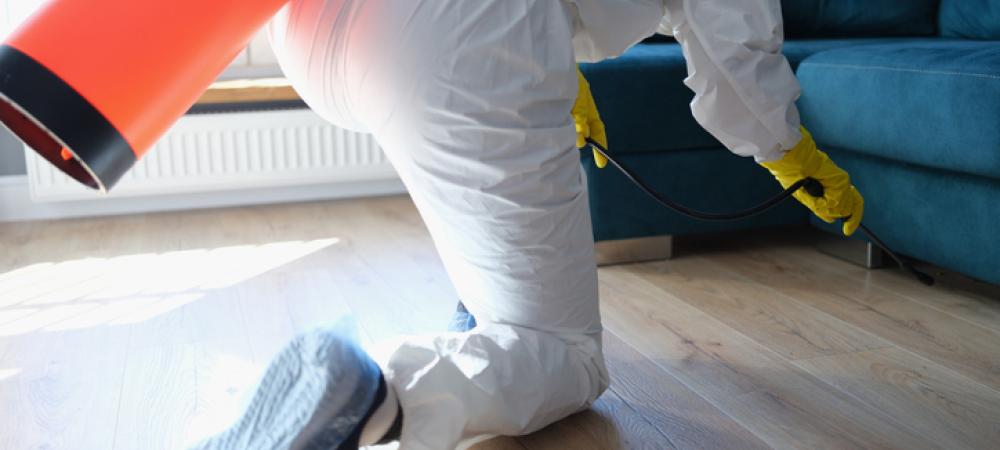 exterminator spraying pesticide