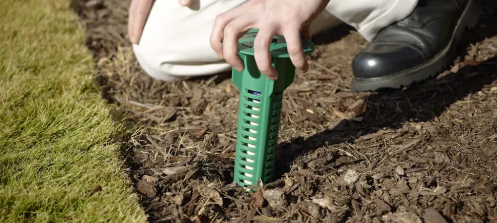termite bait station being installed by a technician